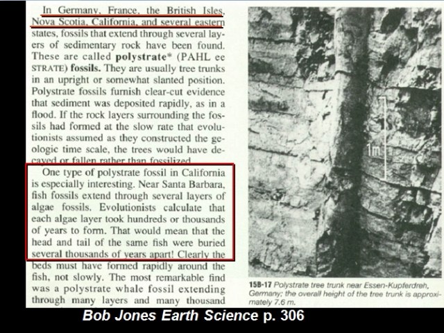 1391240700_tmp_polytree