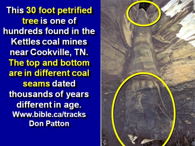 1391240920_tmp_polytree3