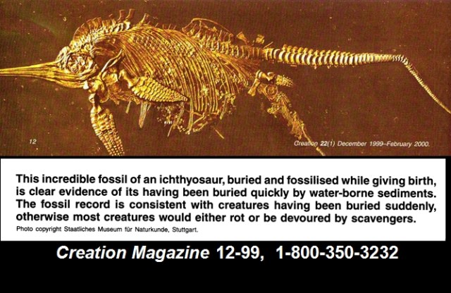 1391241759_tmp_fast_fossil