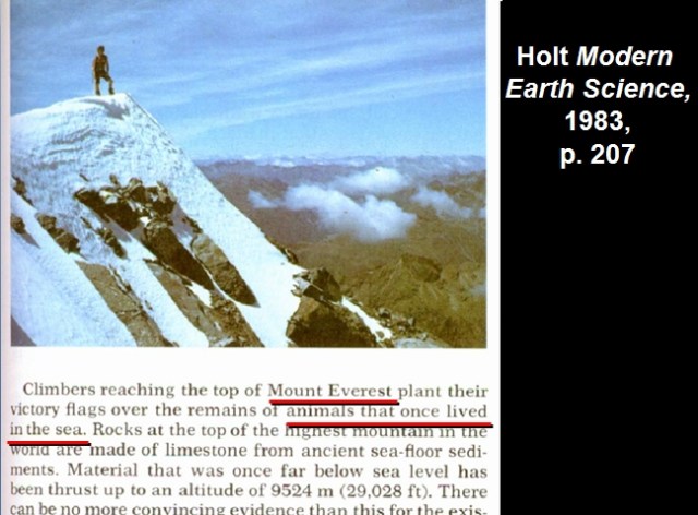 1391241825_tmp_clam1