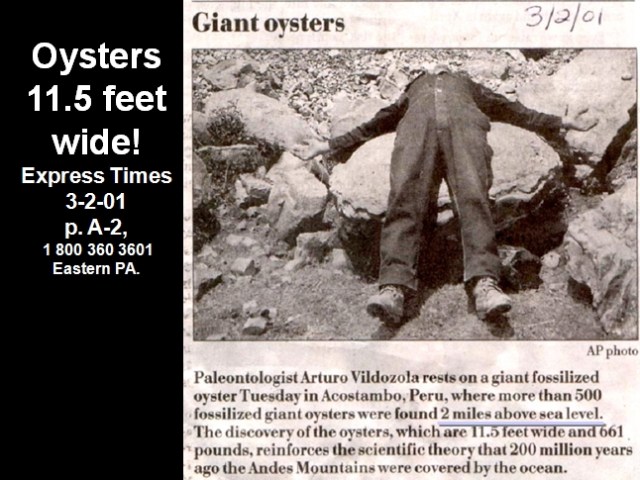 1391241900_tmp_clam_2