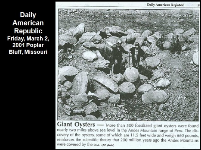 1391241964_tmp_clam3