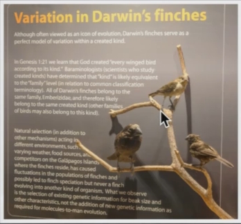 1392013031_tmp_darwins_finches