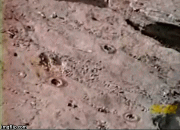 covered in brimstone gif