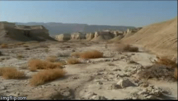 Sodom and Gomorrah 1